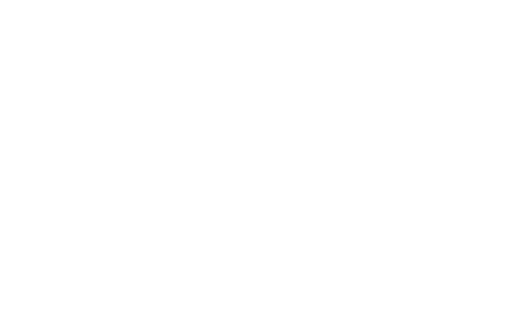 毎日の暮らしに安心を BioSmash 高機能アルカリ除菌・消臭スプレー